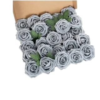 juego x 25 rosas de fommi