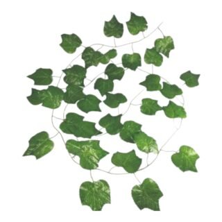 juego x 12 enredaderas