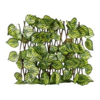 juego x 12 enredaderas